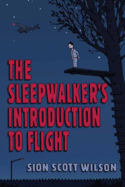 Sleepwalker's Introduction to Flight