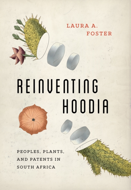 Reinventing Hoodia