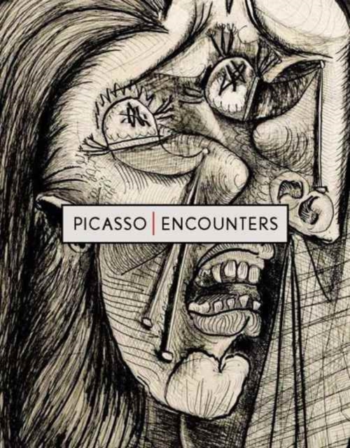 Picasso | Encounters