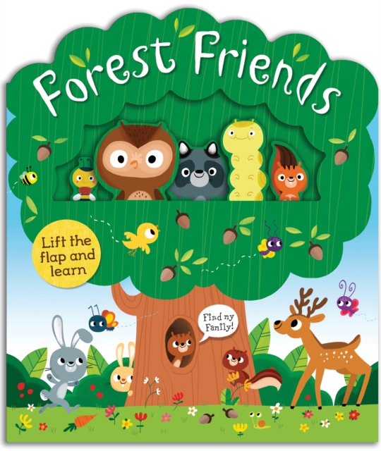 FOREST FRIENDS A LIFTANDLEARN BOOK