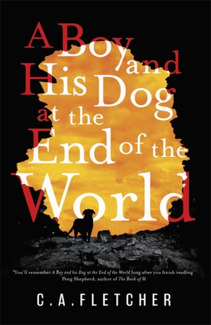 Boy and his Dog at the End of the World