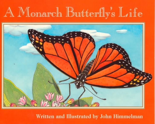 Monarch Butterfly's Life (Nature Upclose)