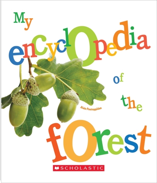 My Encyclopedia of the Forest (My Encyclopedia)