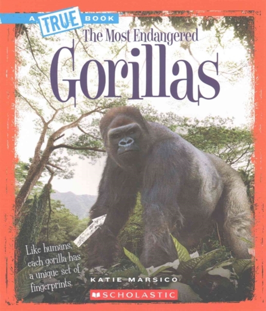 Gorillas (A True Book: The Most Endangered)