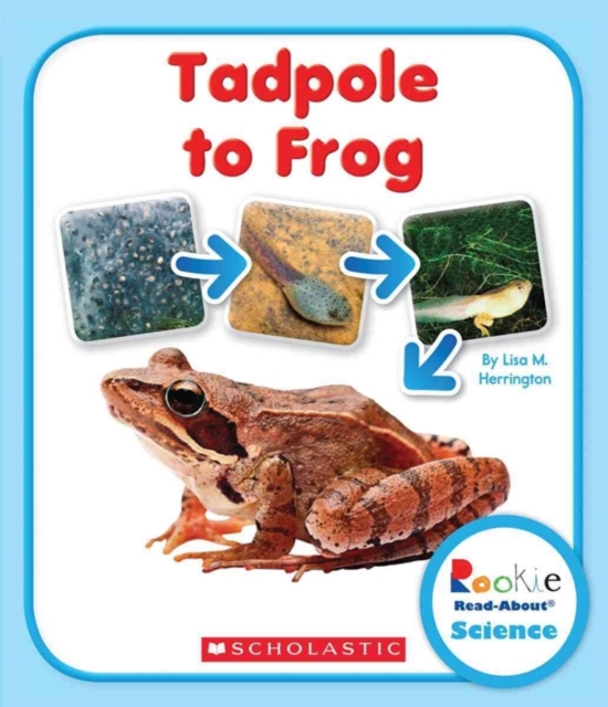 Tadpole to Frog (Rookie Read-About Science: Life Cycles)
