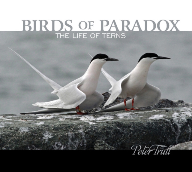 Birds of Paradox