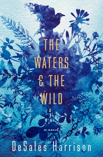 Waters & The Wild