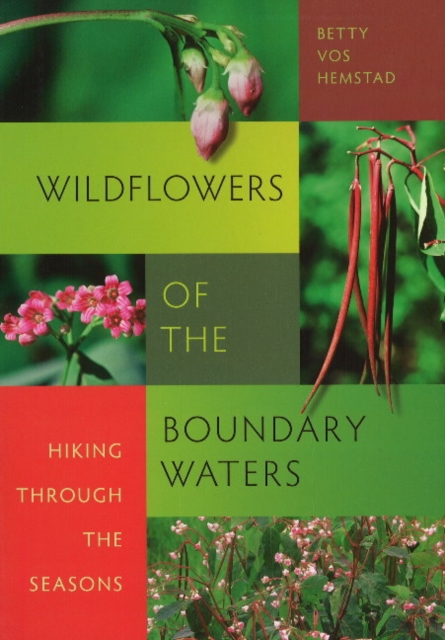 Wildflowers of the Boundary Waters