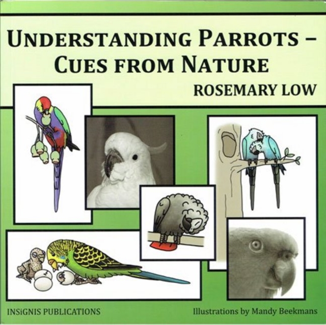 Understanding Parrots