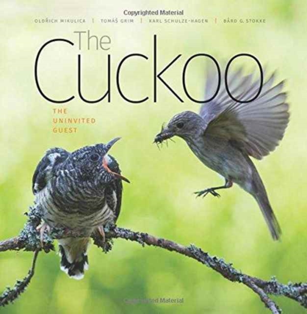 Cuckoo