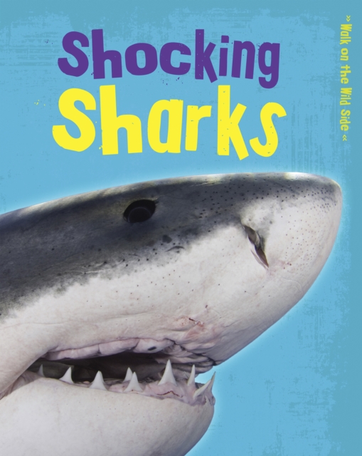 Shocking Sharks