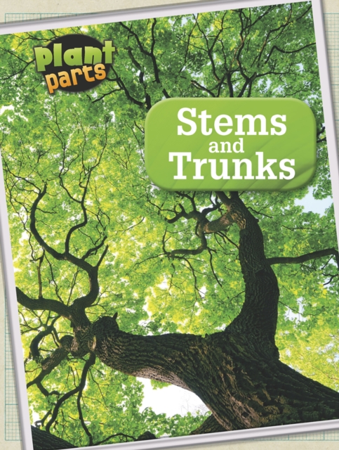 Stems and Trunks