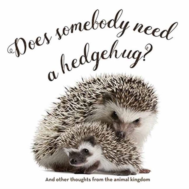 Does Somebody Need a Hedgehug?