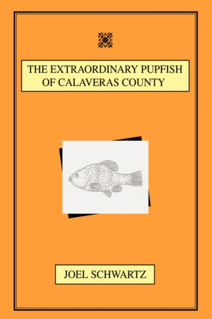 Extraordinary Pupfish of Calaveras County