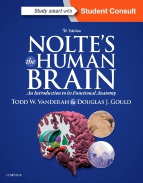 Nolte's The Human Brain