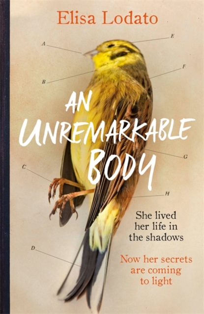 Unremarkable Body