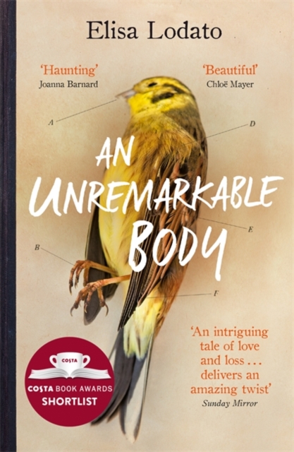 Unremarkable Body