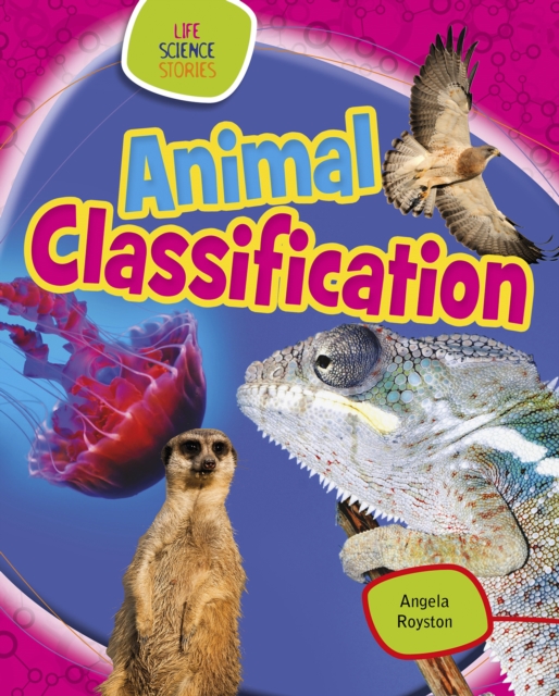 Animal Classification