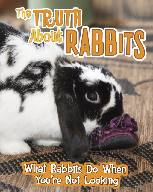 Truth about Rabbits