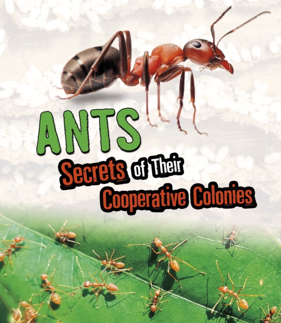 Ants