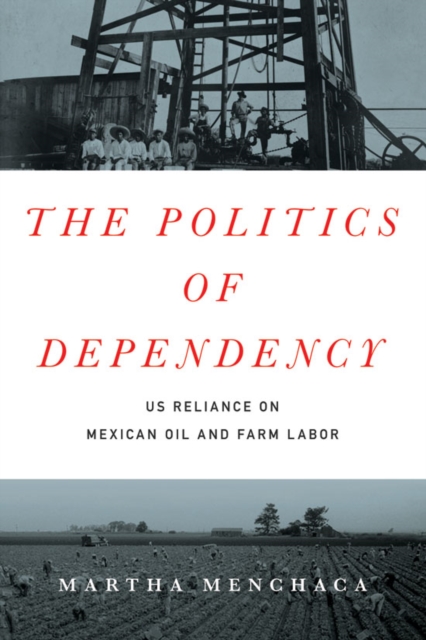 The Politics of Dependency