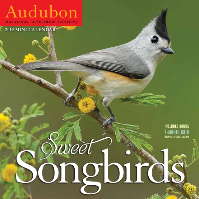 2019 Audubon Sweet Songbirds Mini National Audubon Society