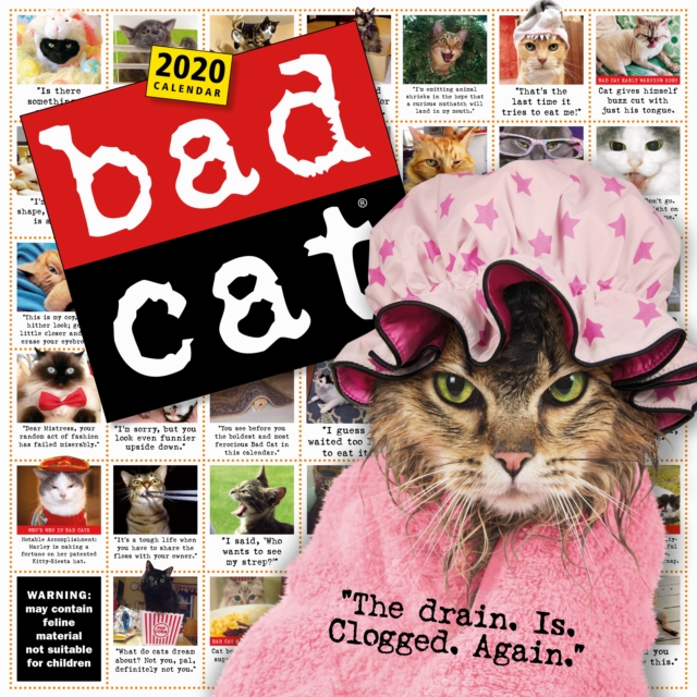 Bad Cat Wall Calendar 2020