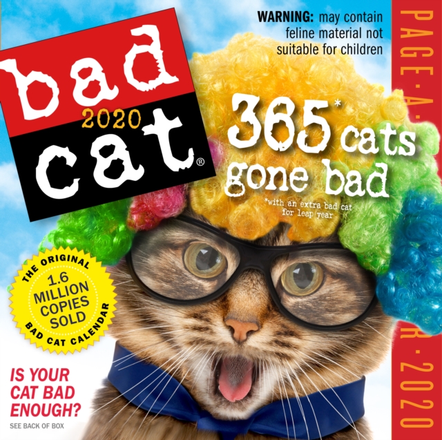 Bad Cat Page-A-Day Calendar 2020