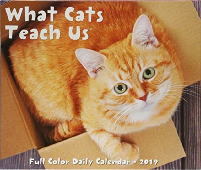 What Cats Teach Us 2019 Box Calendar