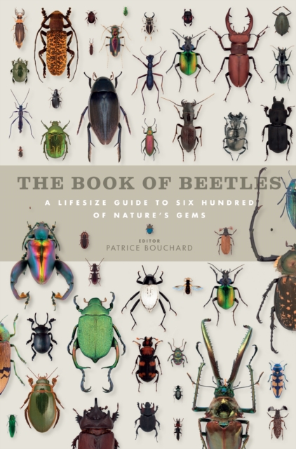 Book of Beetles