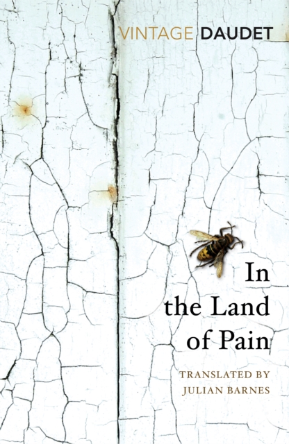 In the Land of Pain (Vintage Classics)