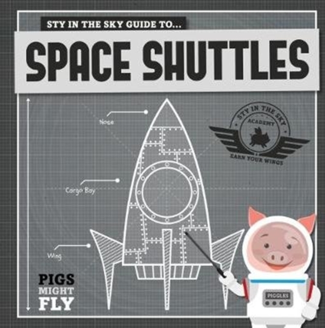 Space Shuttles