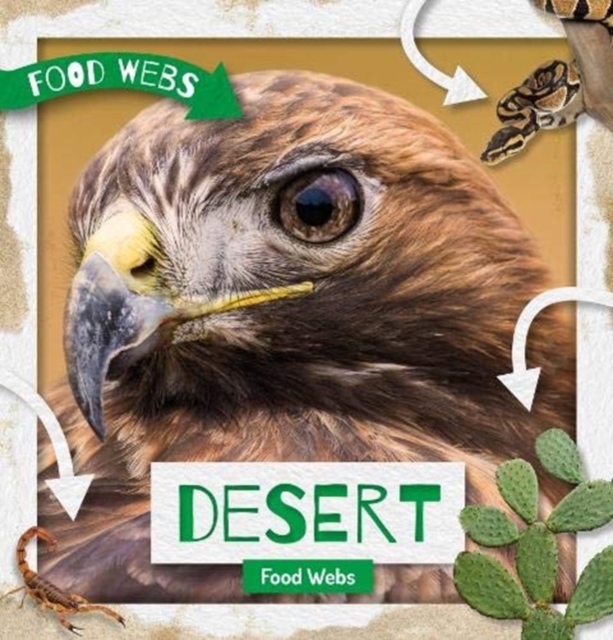 Desert Food Webs