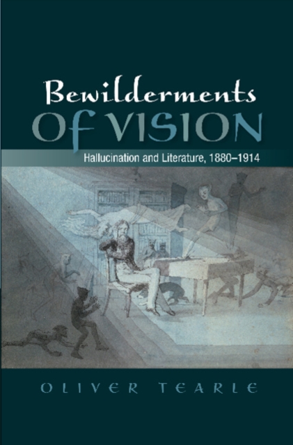 Bewilderments of Vision