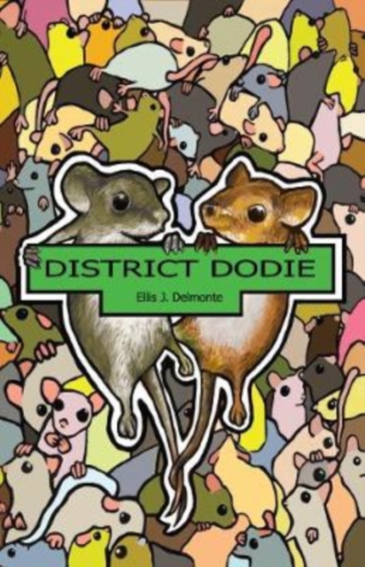 District Dodie