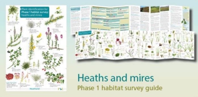 Plant identification for Phase 1 habitat survey: heaths and meres