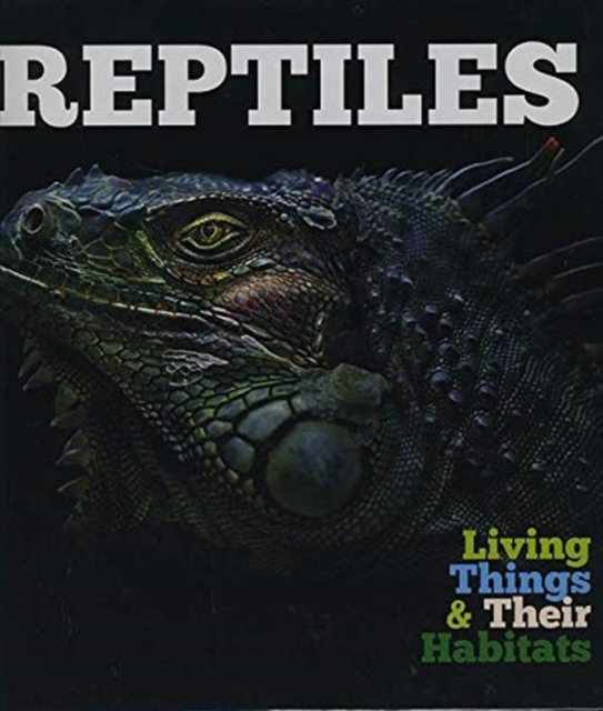 Reptiles