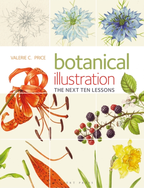 Botanical Illustration the Next Ten Lessons: Colour and Composition