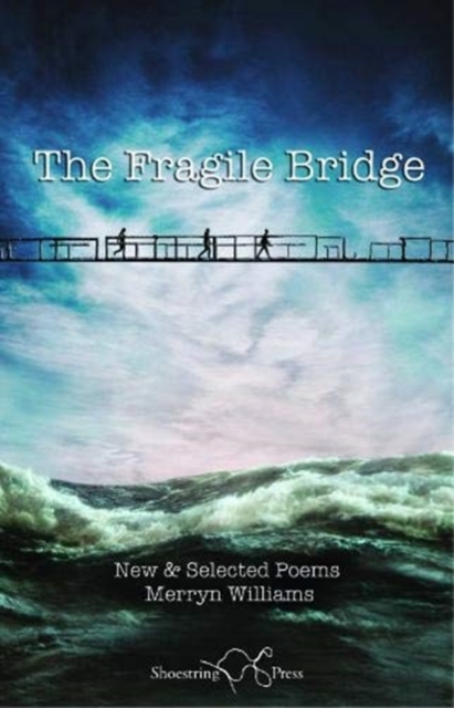 Fragile Bridge