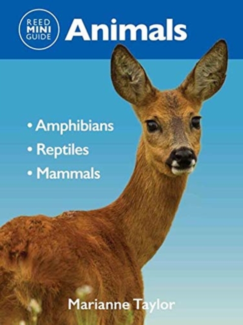 REED MINI GUIDE ANIMALS