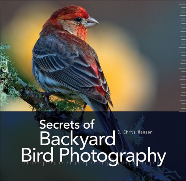Secrets of Backyard Bird Photography
