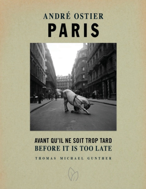 Paris, Before It Is Too Late