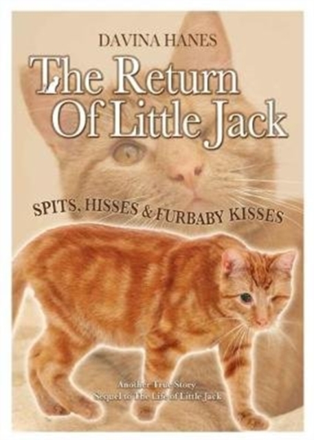 Return of Little Jack