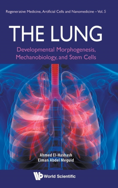 Lung, The: Developmental Morphogenesis, Mechanobiology, And Stem Cells