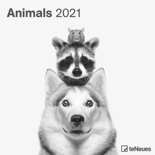 ANIMALS 30 X 30 GRID CALENDAR 2021