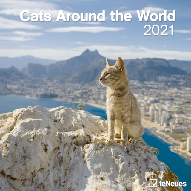 CATS AROUND THE WORLD 30 X 30 GRID CALEN