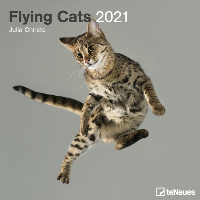 FLYING CATS 30 X 30 GRID CALENDAR 2021