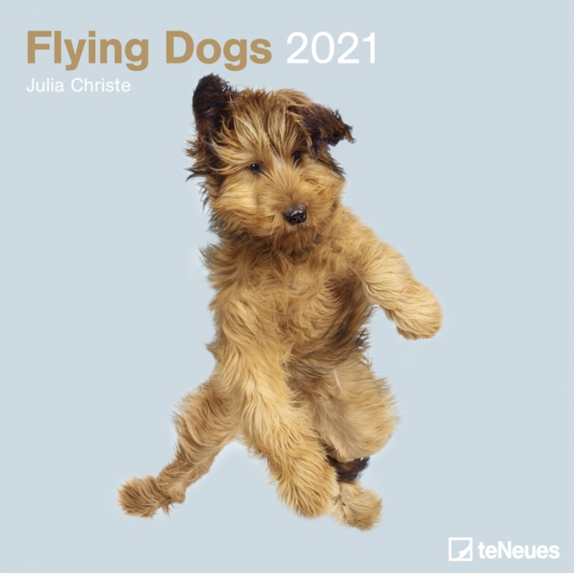 FLYING DOGS 30 X 30 GRID CALENDAR 2021