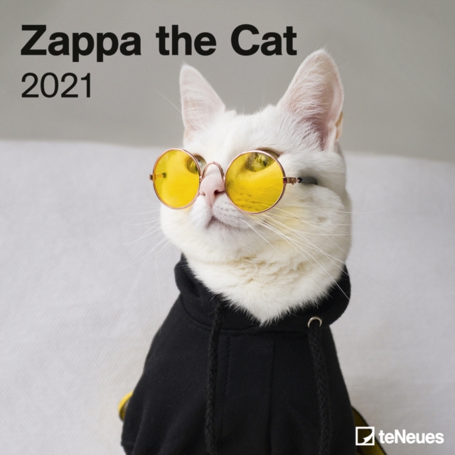 ZAPPA THE CAT 30 X 30 GRID CALENDAR 2021