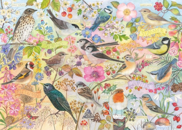 Jigsaw 1000 Piece - Birds Of The Seasons (L)